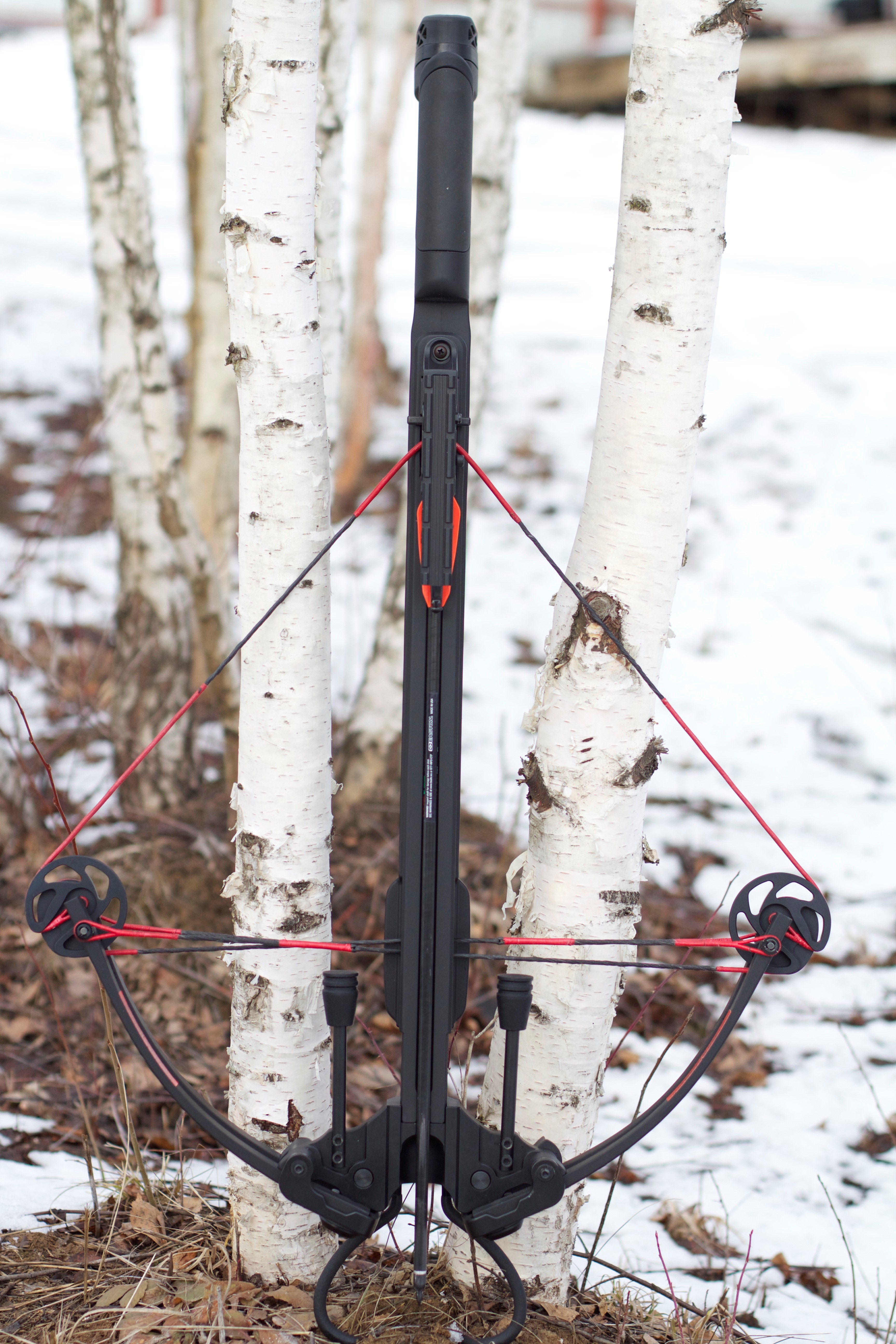 МК-350 - недорогой арбалет для охоты