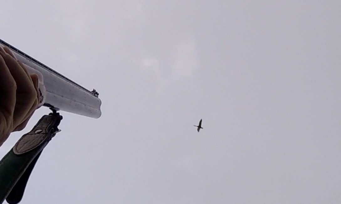 Охота на утку в лёт