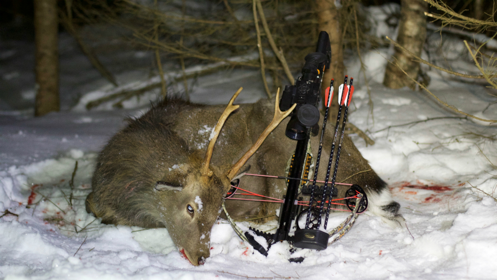 Охота с арбалетом. Правила для охотников