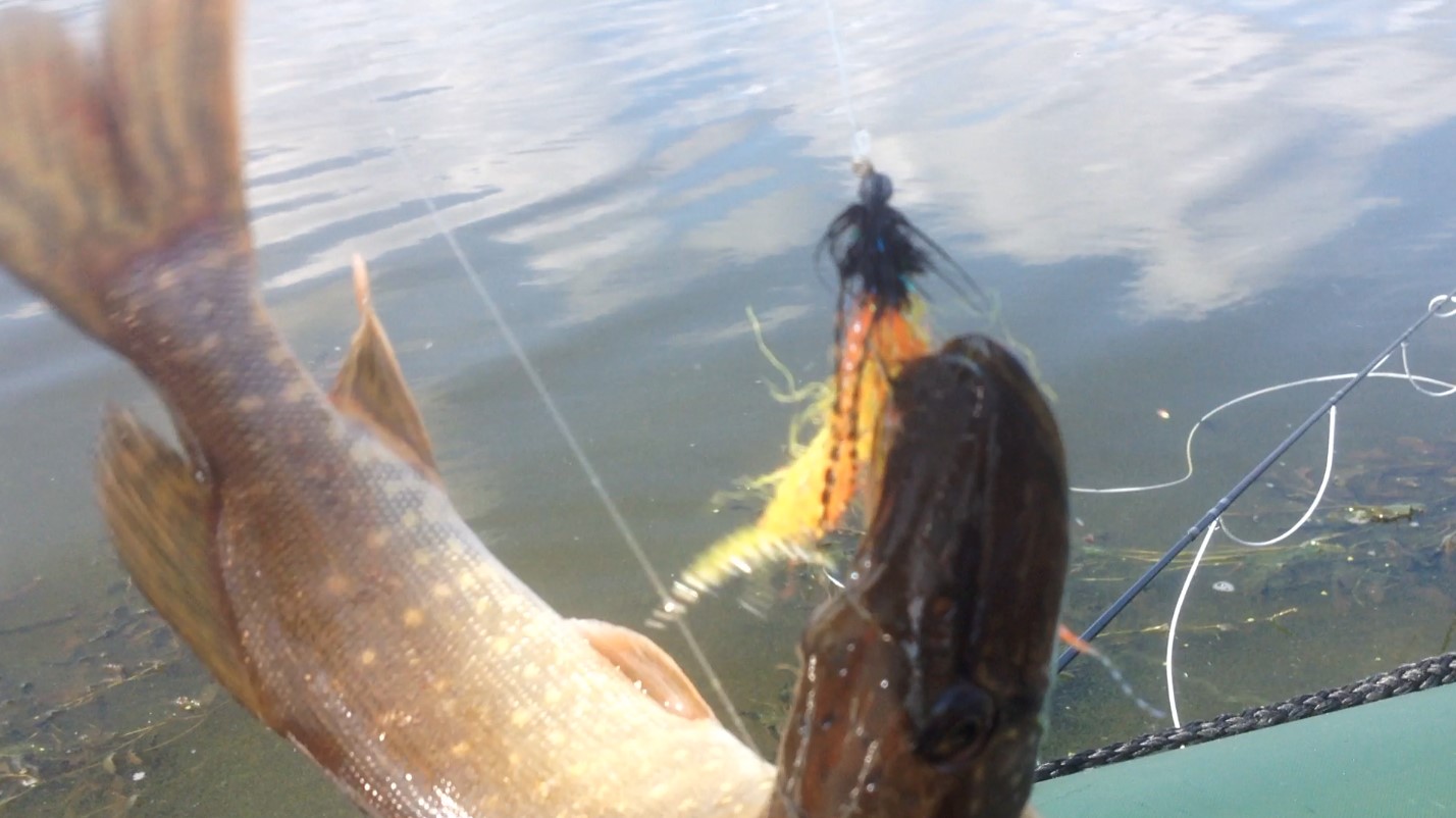 Улов перед вечерней охотой на уток