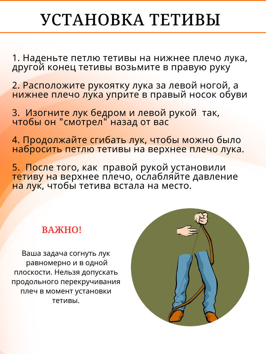 Лук классический Everest, длина 68", сила 22 lbs, рукоять дерево длина 24", плечи дерево фом, правый