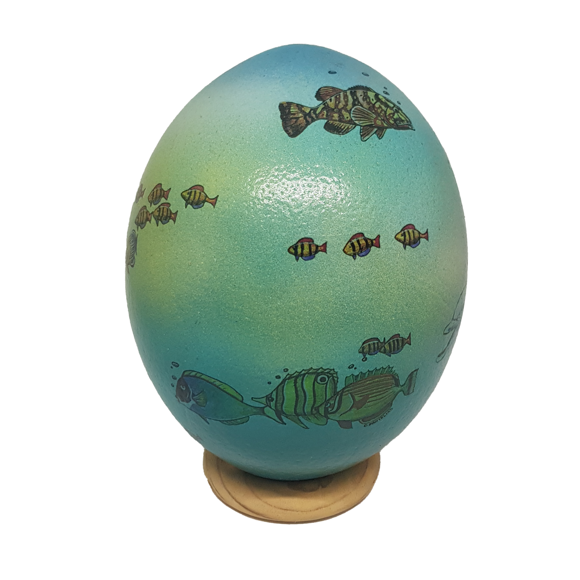 Яйцо страусиное с дельфинами