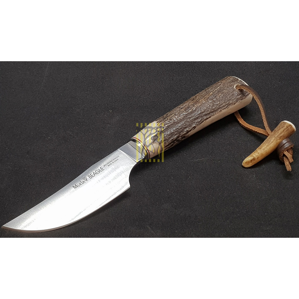 Нож "BEAGLE" с фикс клинком длиной 11см, рукоять рог оленя, ножны кожа