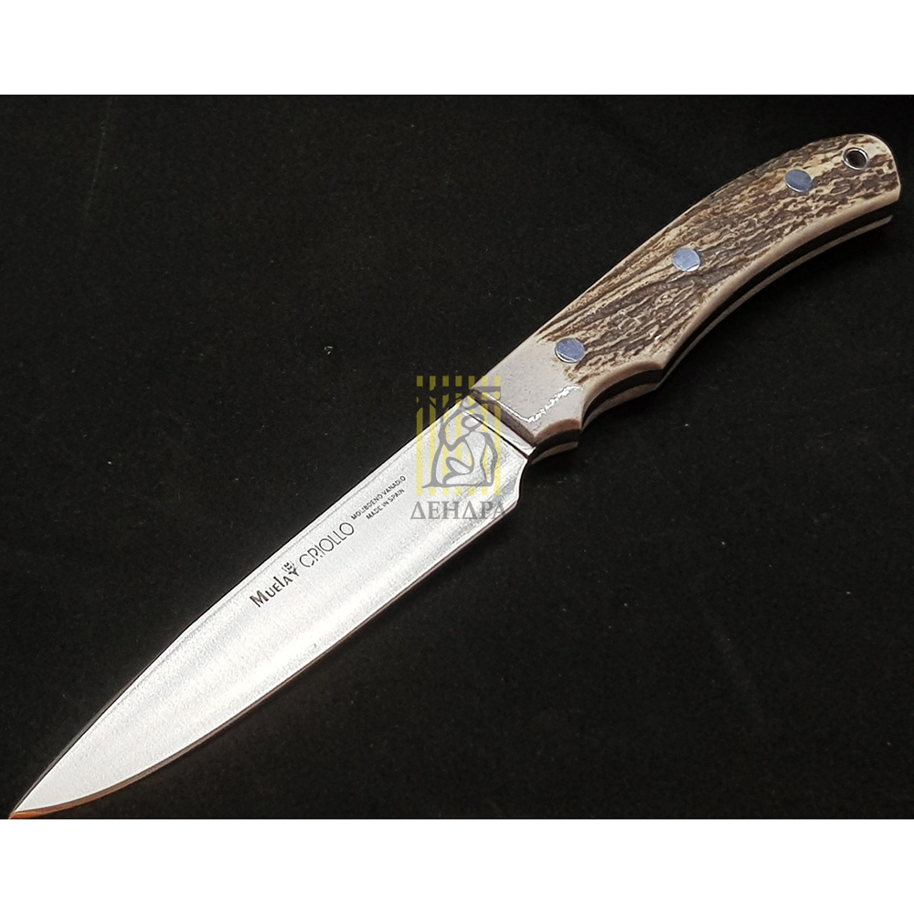 Нож "CRIOLLO" с фикс клинком длиной 14 см, рукоять рог оленя, ножны кожа