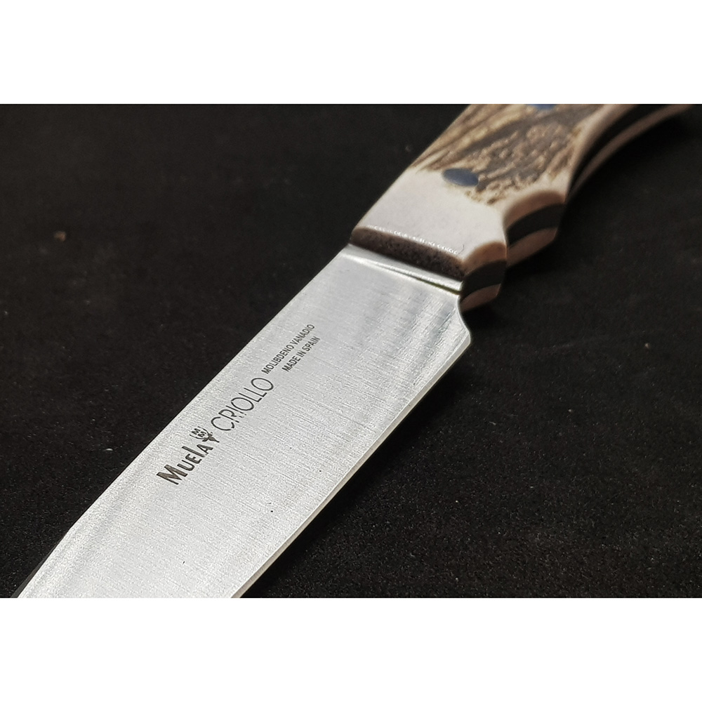 Нож "CRIOLLO" с фикс клинком длиной 14 см, рукоять рог оленя, ножны кожа