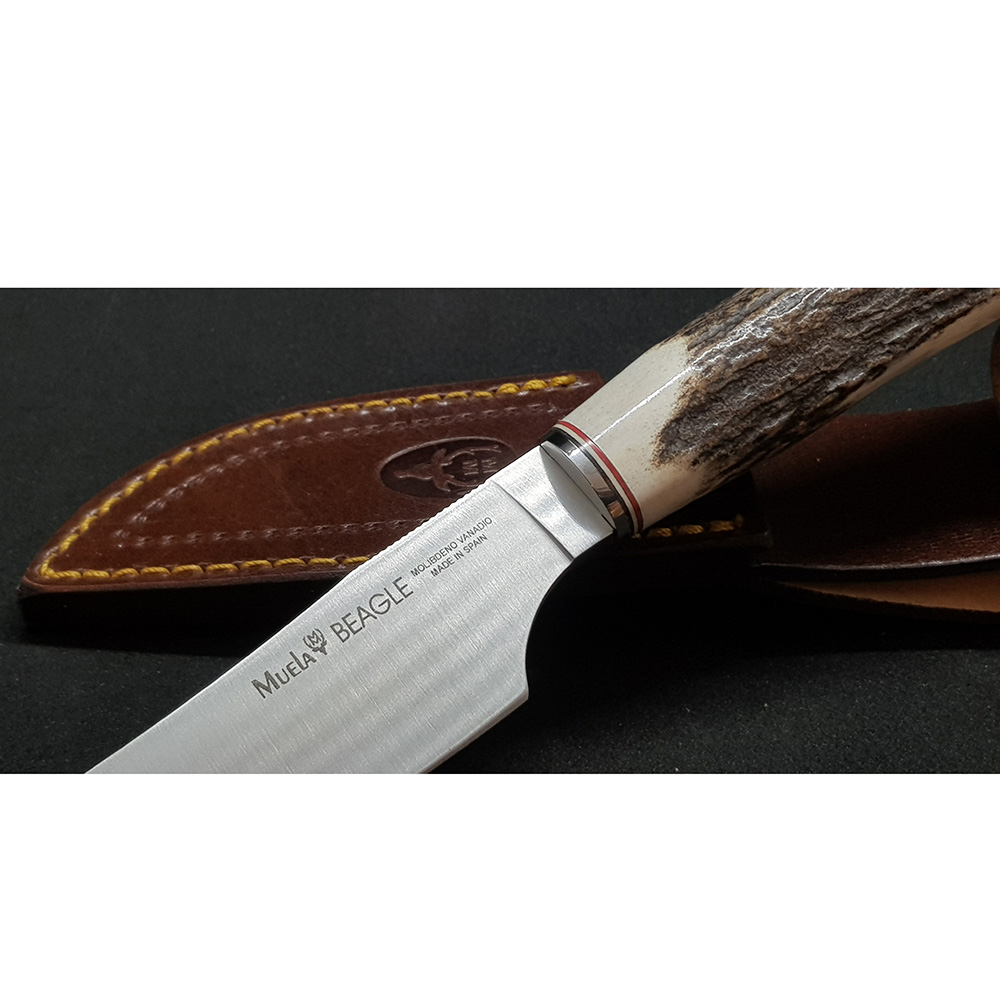 Нож "BEAGLE" с фикс клинком длиной 11см, рукоять рог оленя, ножны кожа