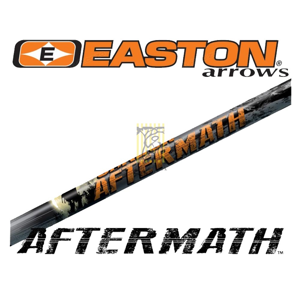 Стрелы CARBON AFTERMATH, размер 400, оперение BLAZER длина 2", хвостовик H-NOCK и ST-RPS INSERT в ко