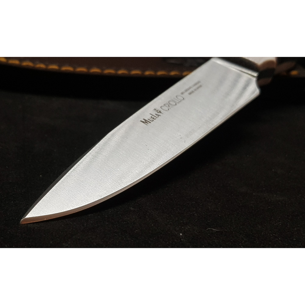 Нож "CRIOLLO" с фикс клинком длиной 14 см, рукоять рог оленя, ножны кожа