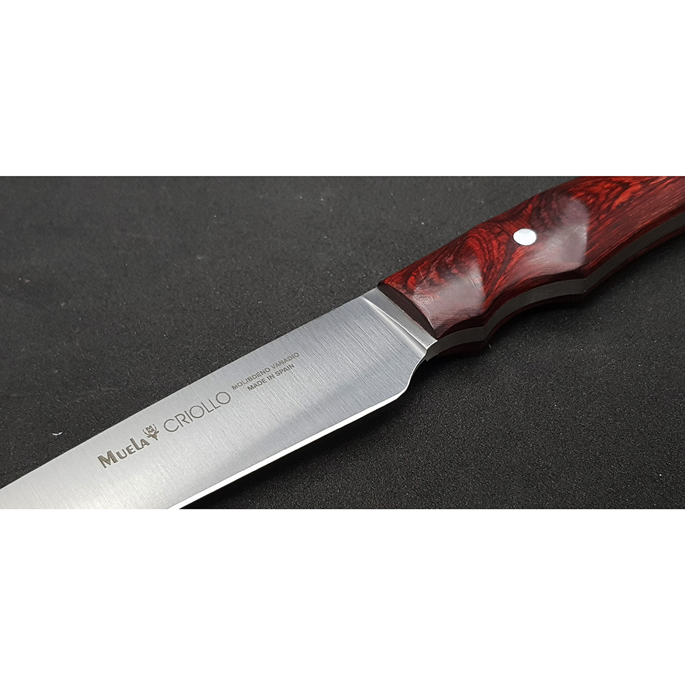 Нож "CRIOLLO" с фикс клинком длиной 17 см, рукоять красная микарта, ножны кожа