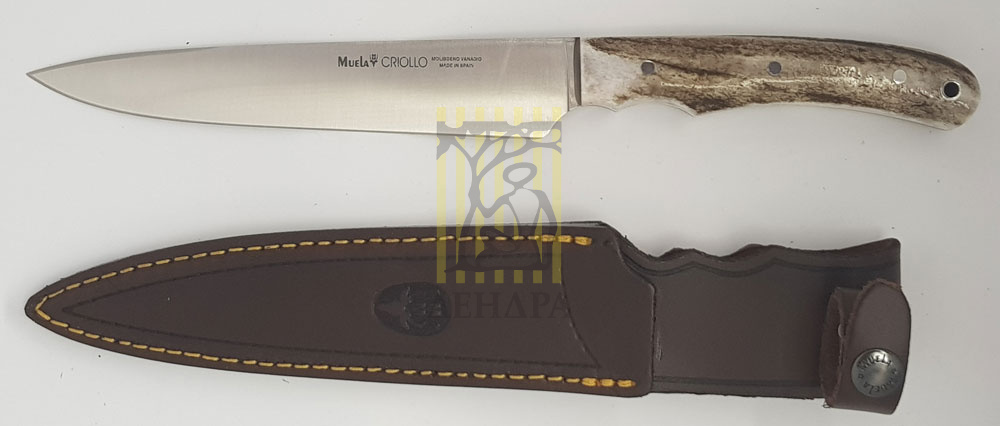 Нож "CRIOLLO" с фикс клинком длиной 17 см, рукоять рог оленя, ножны кожа