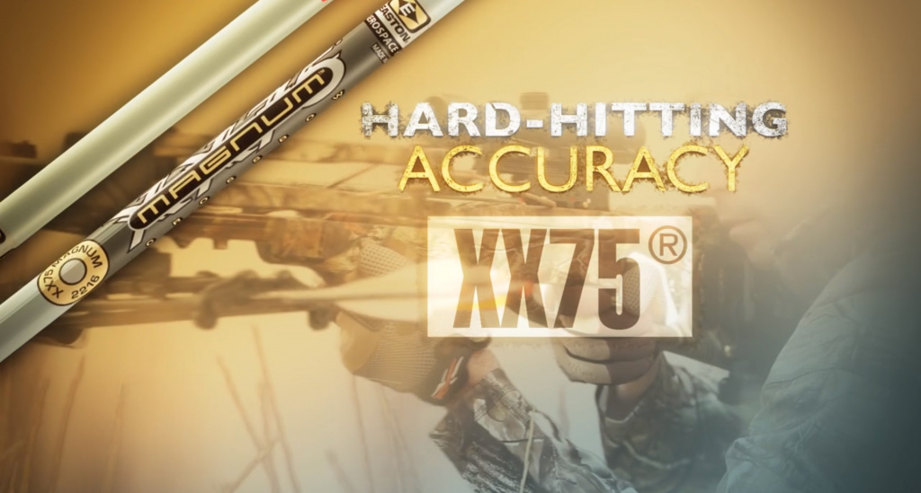 стрела Магнум.jpg