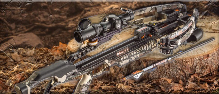 Стрелы Ravin.jpg