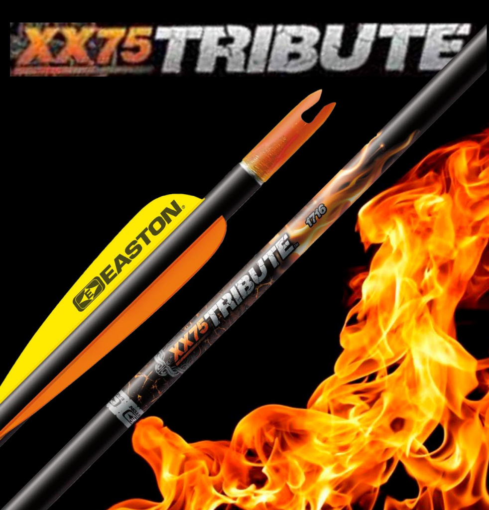 easton_arrow_xx75_tribute_1.jpg