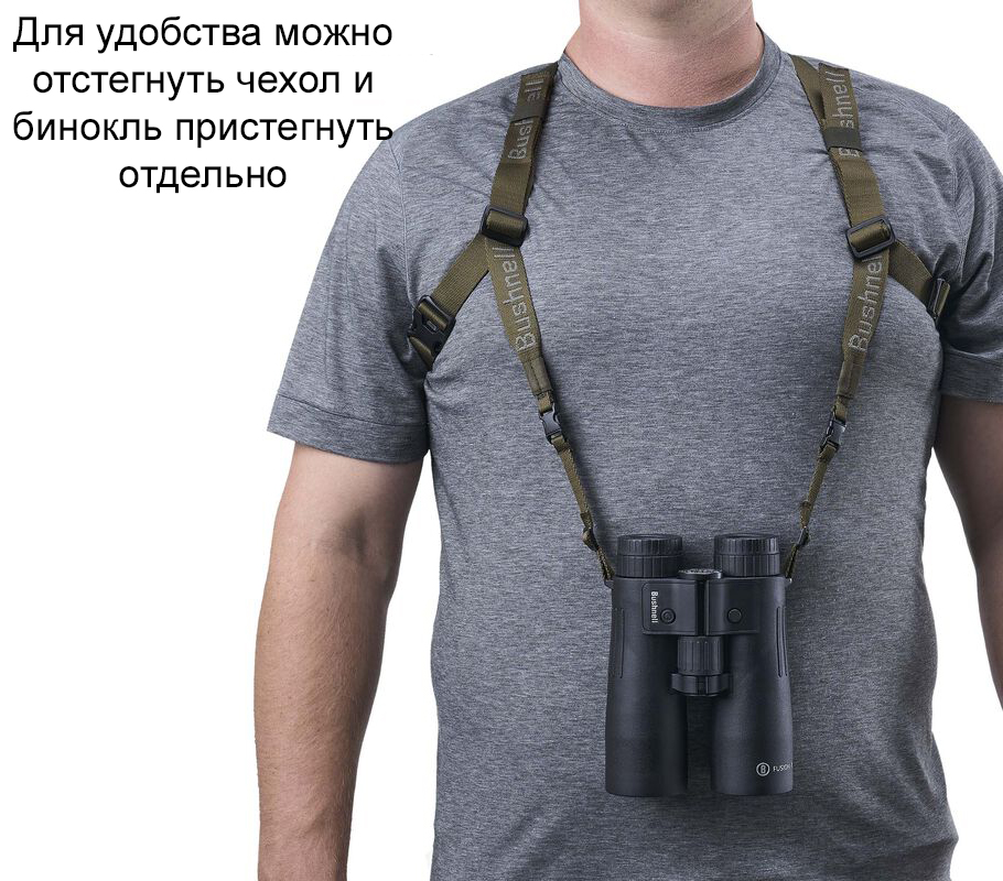 BABINPCT_Context 8.jpg